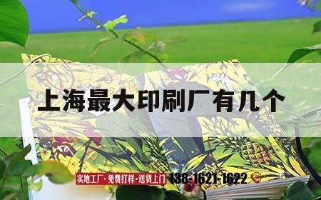 上海最大印刷廠有幾個｜上海比較大的印刷廠有哪些